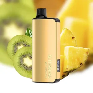 Alibarbar Ingot 9000 Puffs-Kiwi-Pineapple