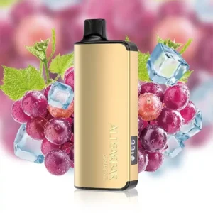 Alibarbar Ingot 9000 Puffs-Grape-Ice
